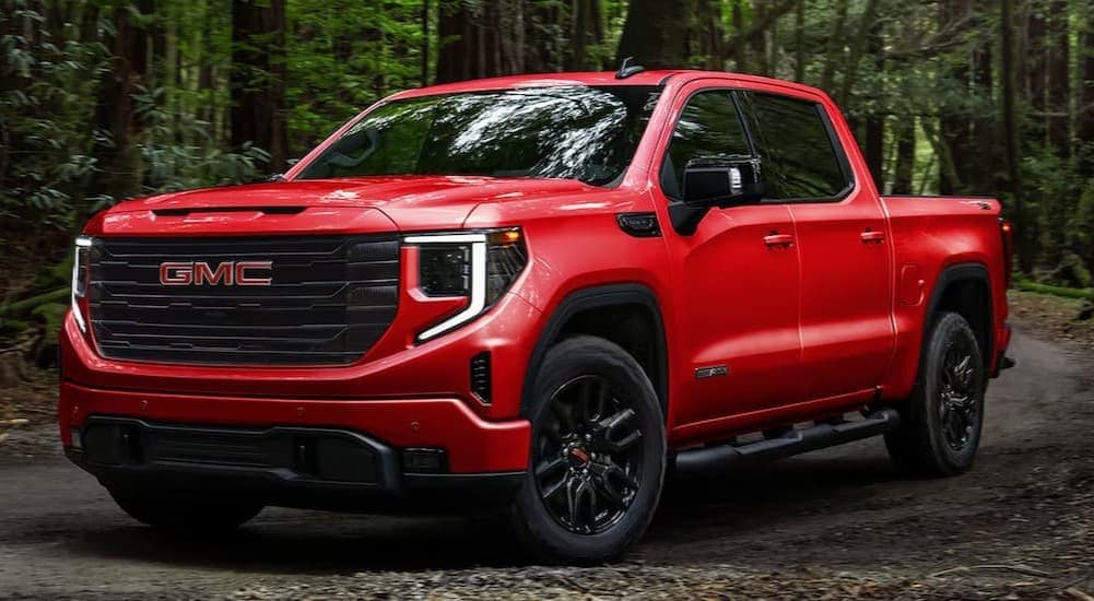 A red 2025 GMC Sierra 1500 Elevation parked in a forest.