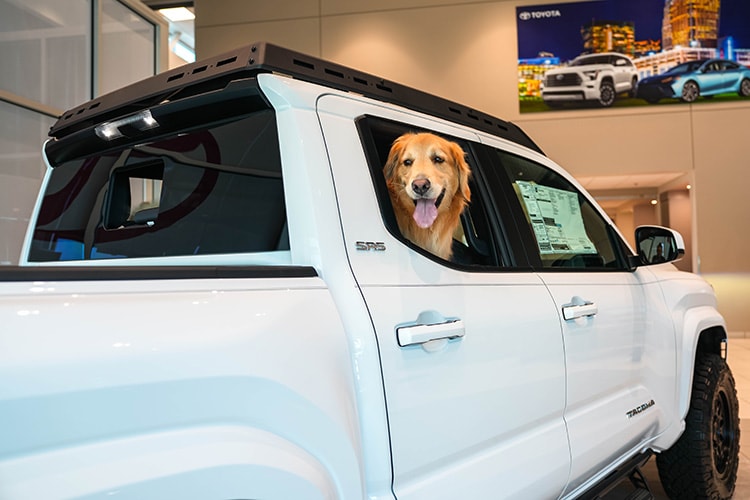 Toyota%20Tacoma%20Pet%20Friendly%20Vehicle%20Hendrick%20Cars.jpg